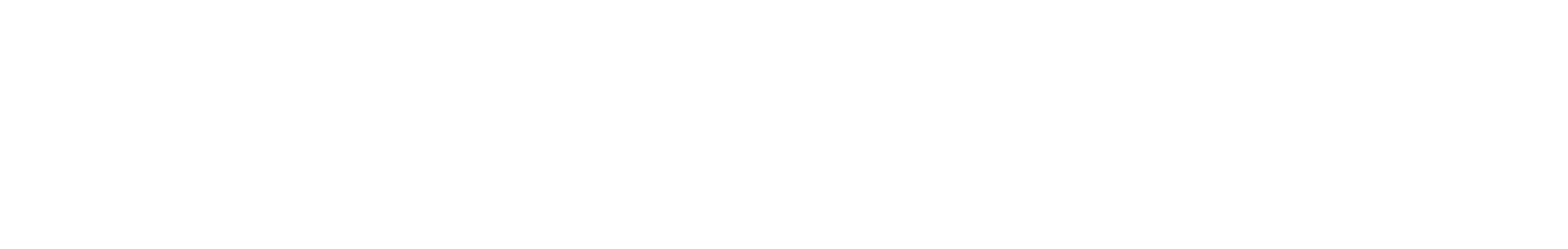 Satcube logotype, light version